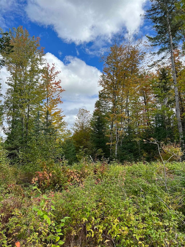 0 Evergreen Dr, Dalton, NH 03598 - photo 4