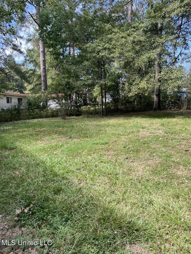 3253 Ridgeland Dr - back yard