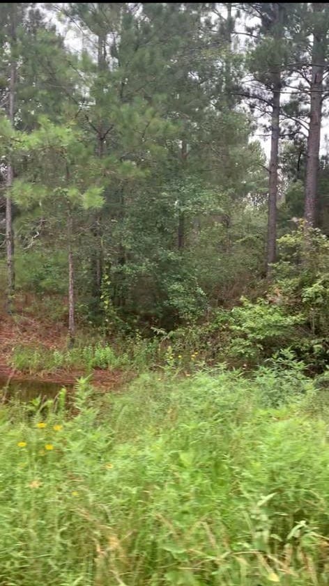 0 Broken Arrow Cir unit 63772753, Hempstead, TX 77445 - photo 5