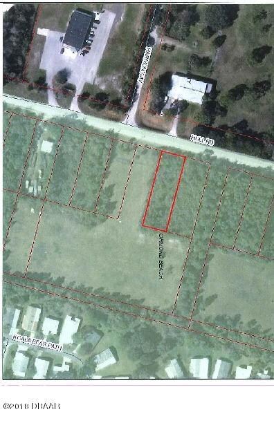 829 Hull Rd, Ormond Beach, FL 32174 - photo 4