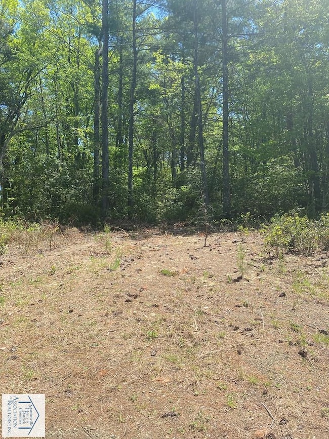 Lot 12 Timber Run Dr, Woolwine, VA 24185 - photo 3