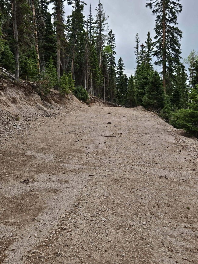 image000000-14
