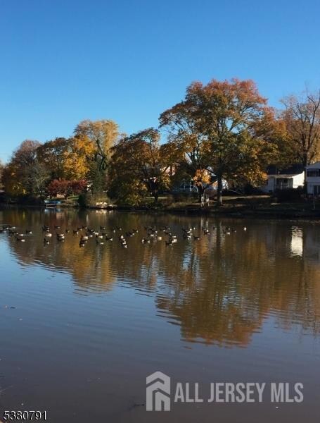 45 Lakeside Dr N unit 1, Piscataway, NJ 08854 - photo 5