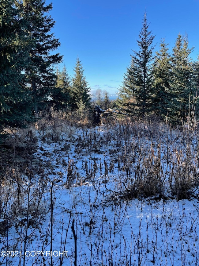0000 Trail Rd, Anchor Point, AK 99556 - photo 5