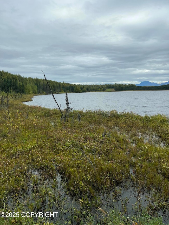 NHN W Hollywood Rd, Wasilla, AK 99654 - photo 3