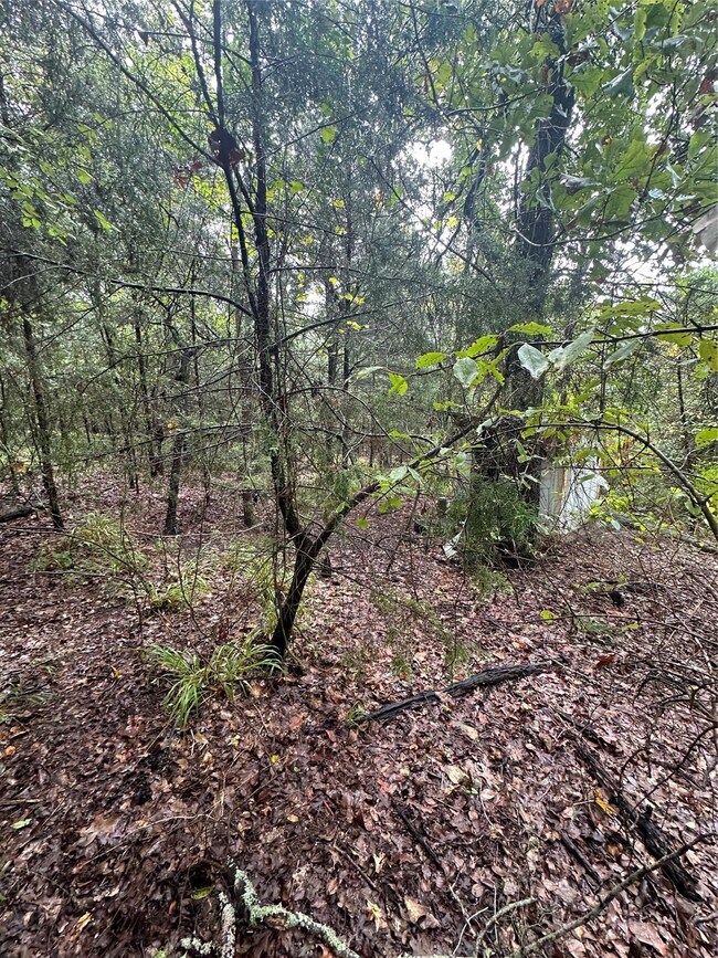 tbd Whipporwill Dr, Murchison, TX 75778 - photo 3