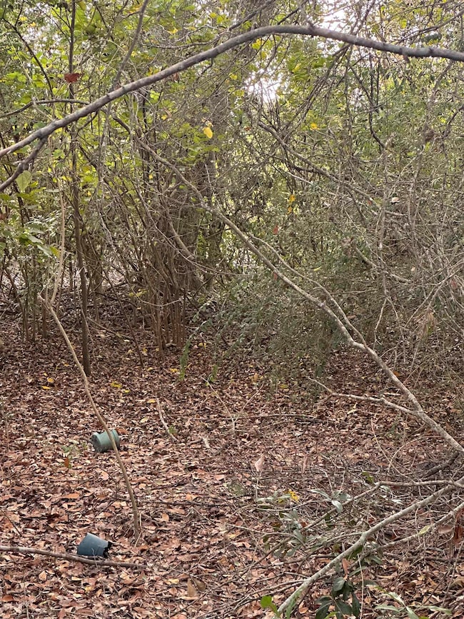 8711 N Garden Dr, Beaumont, TX 77705 - photo 3