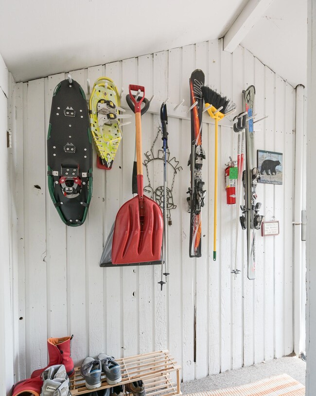 Snowshoe 3B-13