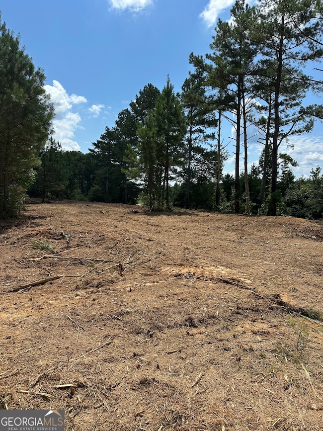 TR 3 Culp Lake Rd, Cedartown, GA 30125 - photo 6