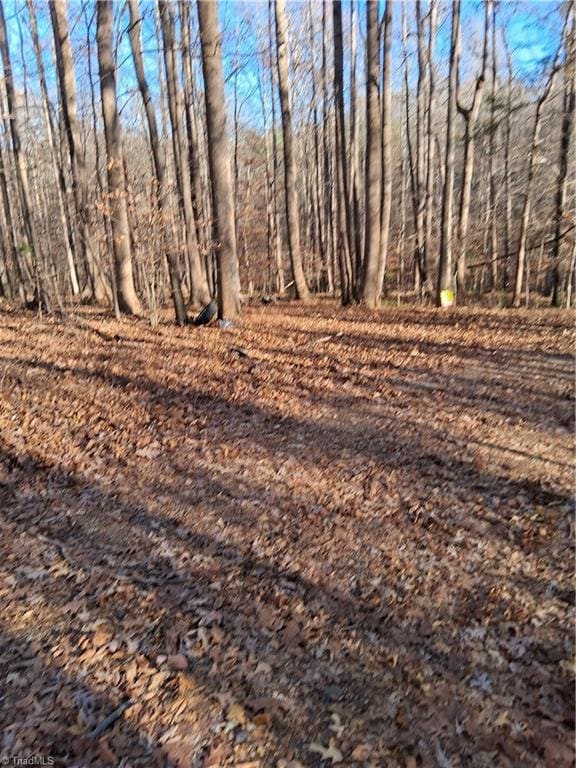 6819 Long Meadow Dr, Whitsett, NC 27377 - photo 6