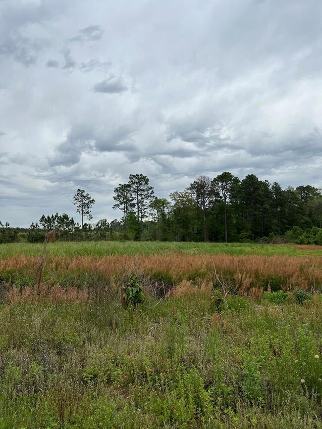 0 Eastman Paulk Rd, Ambrose, GA 31512 - photo 4