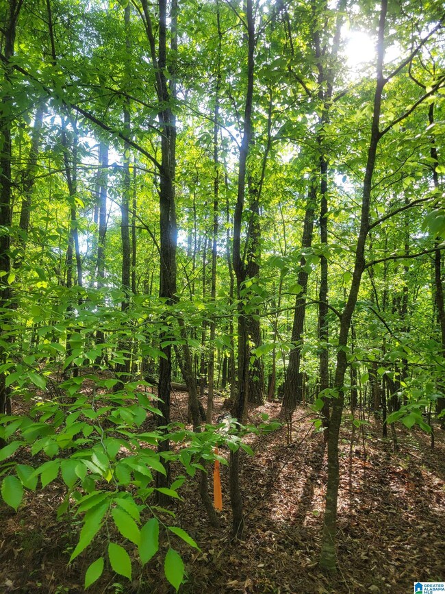 0 Lake Geneva Dr unit 25 21415570, Wedowee, AL 36278 - photo 4