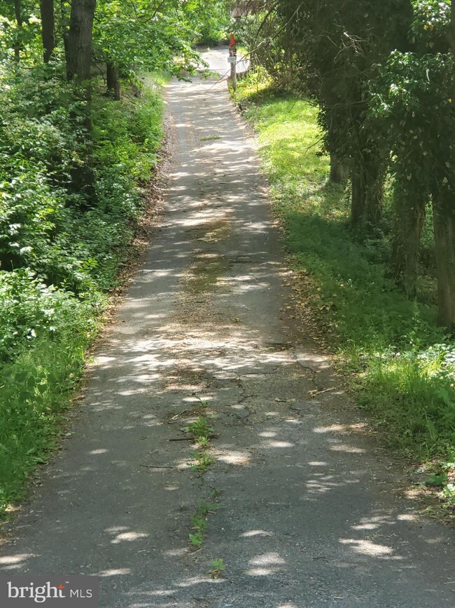 12401 Old Gunpowder Road Spur, Beltsville, MD 20705 - photo 3