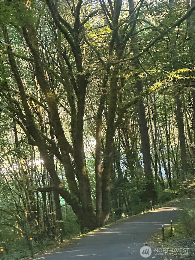 4610 Hemlock Ln NW, Gig Harbor, WA 98335 - photo 5