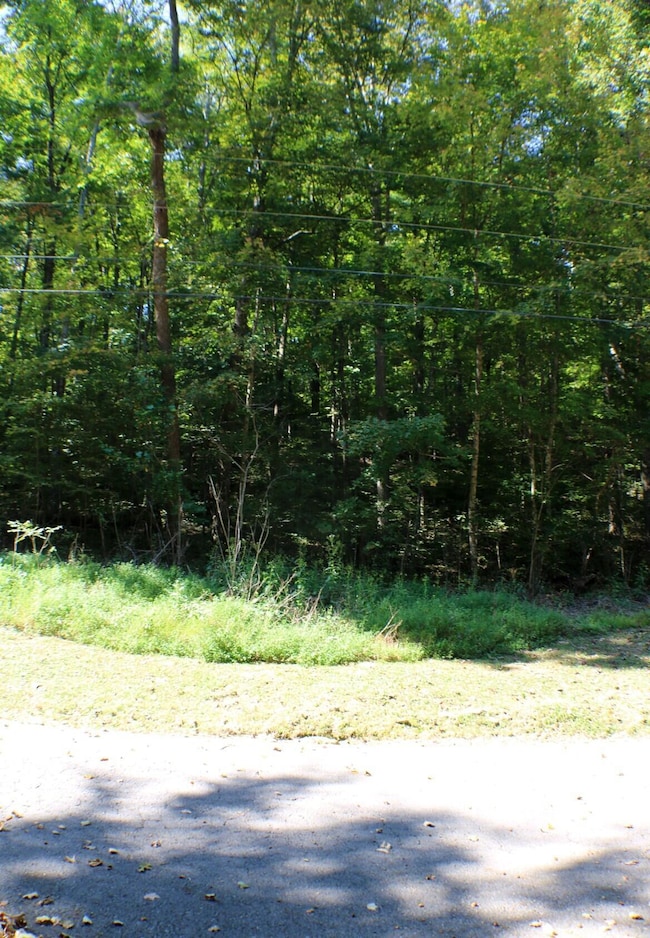 406 Harmony Ln, Burnside, KY 42519 - photo 3