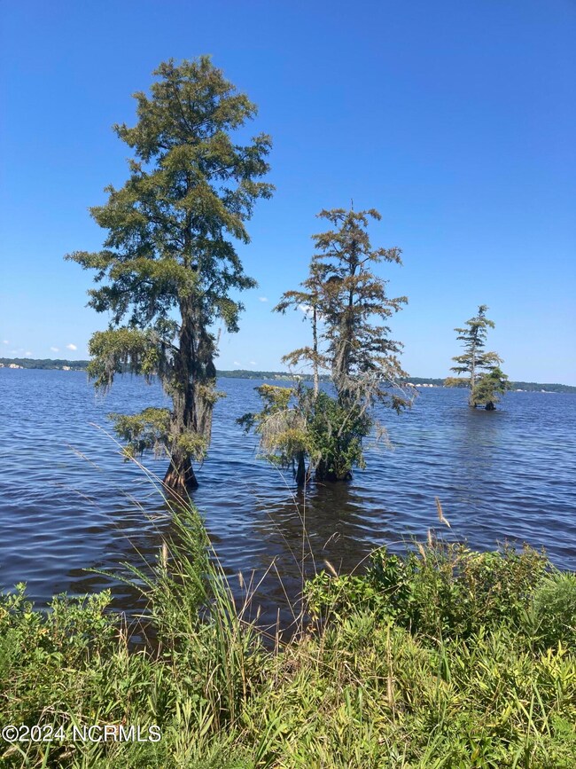 3047 Bass Landing Rd, Edenton, NC 27932 - photo 3