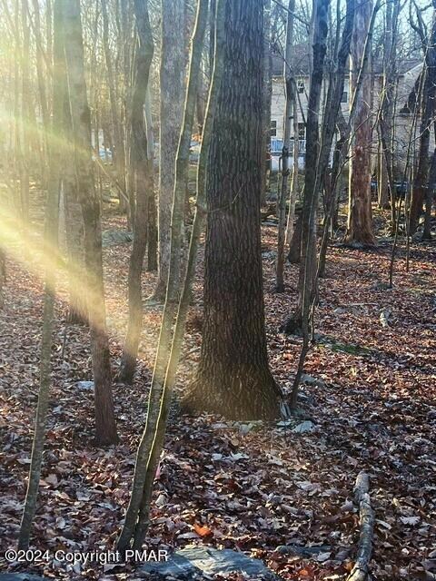 259 Winona Terrace, East Stroudsburg, PA 18301 - photo 4