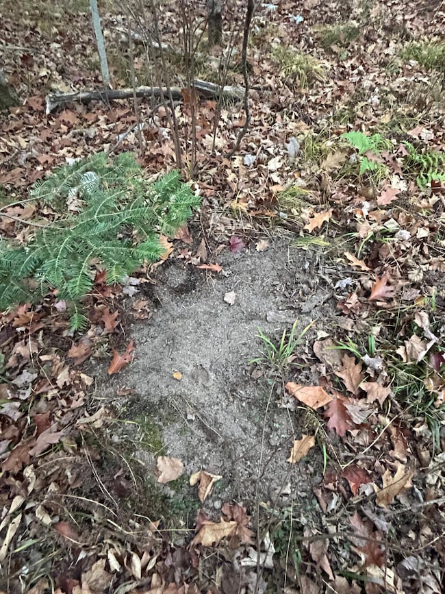 18 Acres Cth G, Pelican Lake, WI 54463 - photo 5