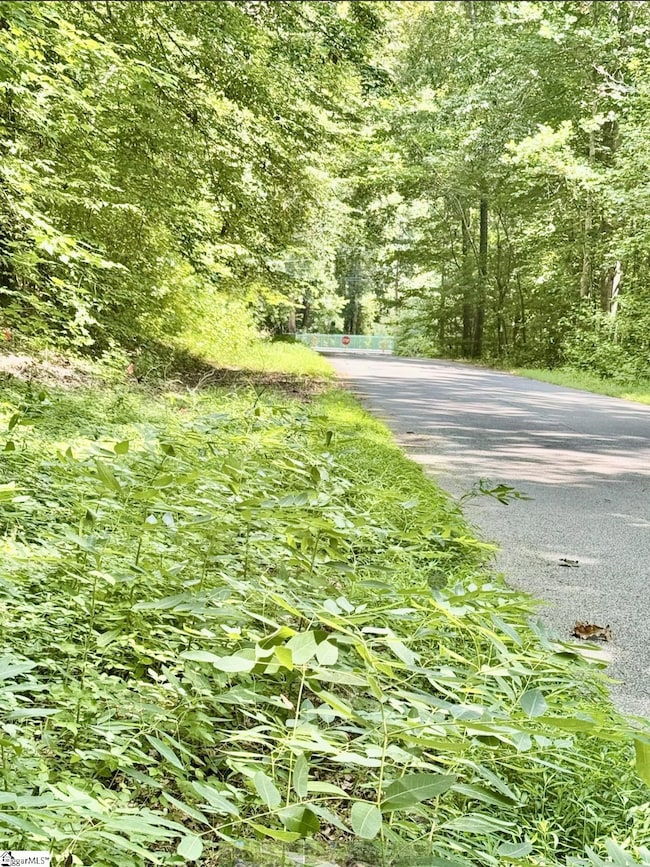 Lot B Adair Place, Laurens, SC 29360 - photo 3