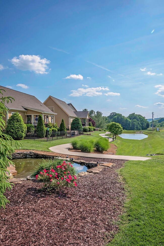 chase-meadows-photos-5