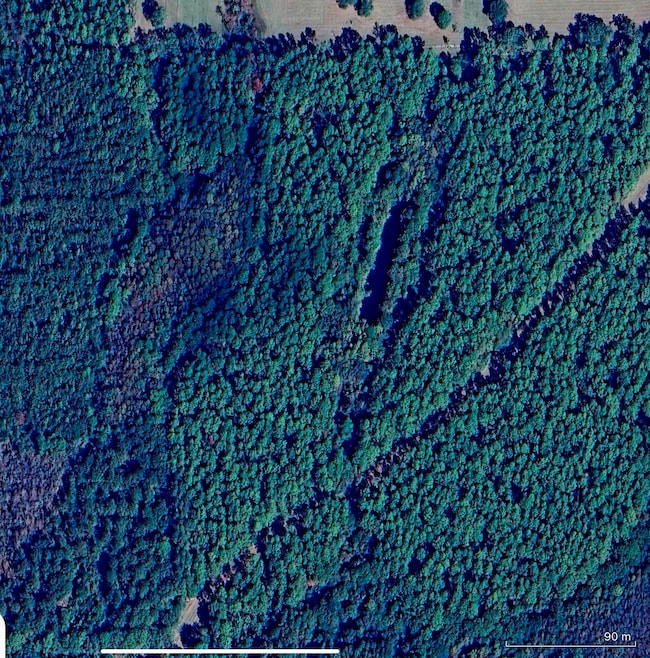 5 Canopy Oak Blvd, Bonifay, FL 32425 - photo 3