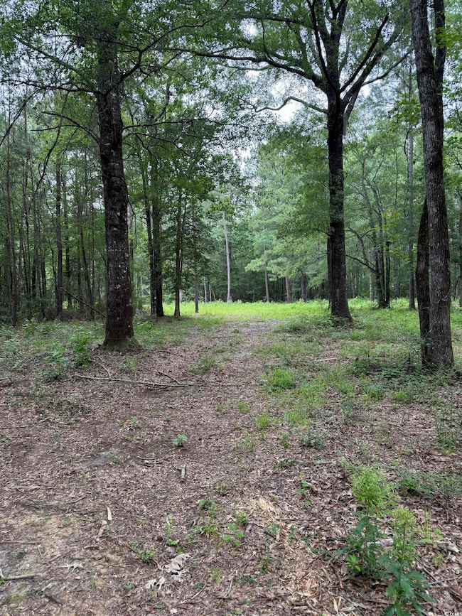 TBD Lot 20 Duck Island Rd unit Duck Island Rd, Gresham, SC 29546 - photo 3