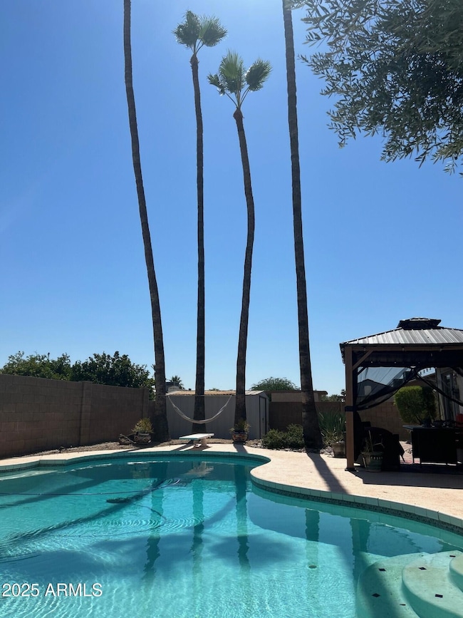 Gorgeous Backyard