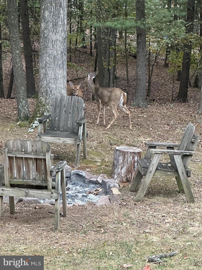 400 Spring Valley Dr, Berkeley Springs, WV 25411 - photo 2
