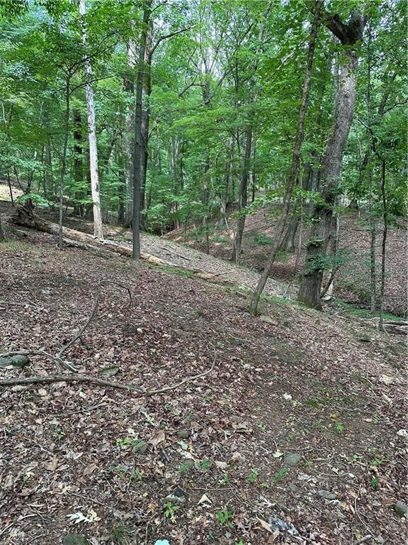 1225 Oglethorpe Rd, Jasper, GA 30143 - photo 7