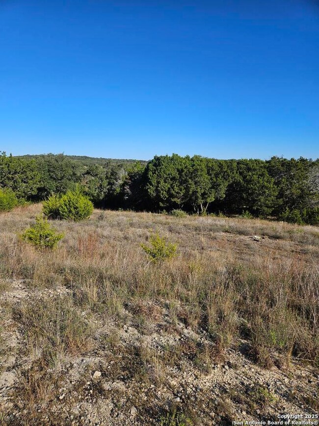 2385 Comal Springs, Canyon Lake, TX 78133 - photo 3