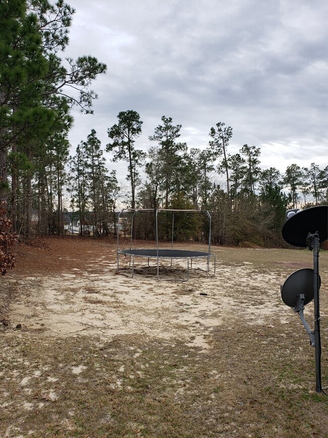 Huge backyard