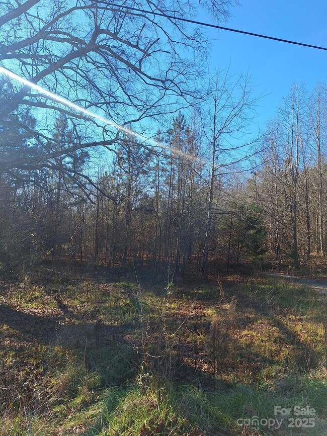 110 Mull Rd unit 4, Lincolnton, NC 28092 - photo 3