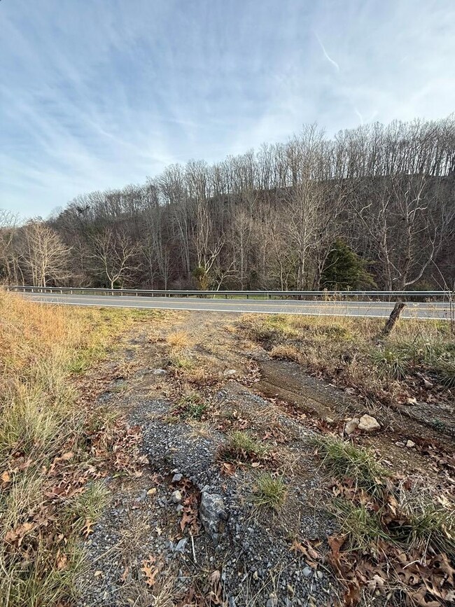 0 Seneca Trail S unit 55718, Lindside, WV 24951 - photo 4