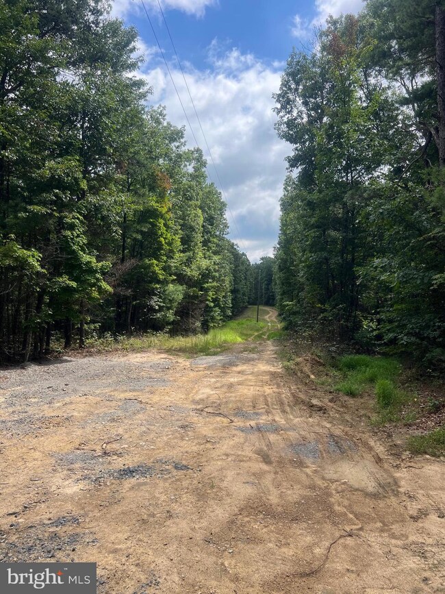 0 Supinlick Ridge Rd unit VASH2012594, Mount Jackson, VA 22842 - photo 7