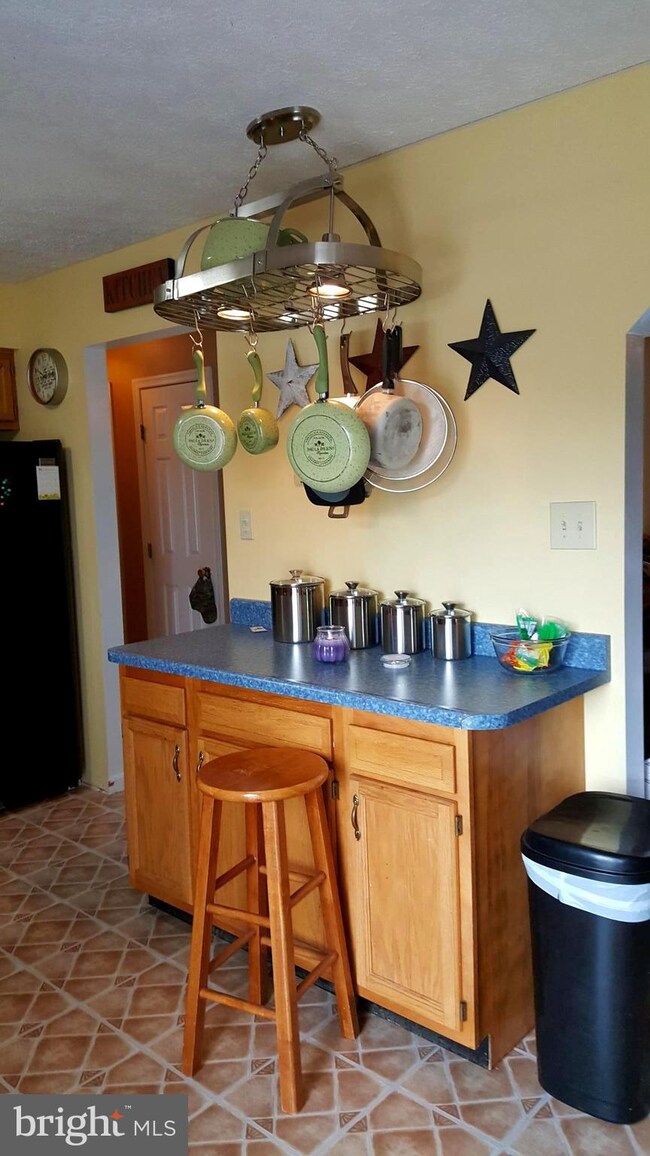 113 Greenleaf Rd, Strasburg, VA 22657 - photo 5