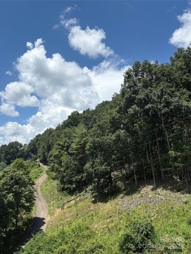 0000 Wheeler Hills Rd, Burnsville, NC 28714 - photo 5