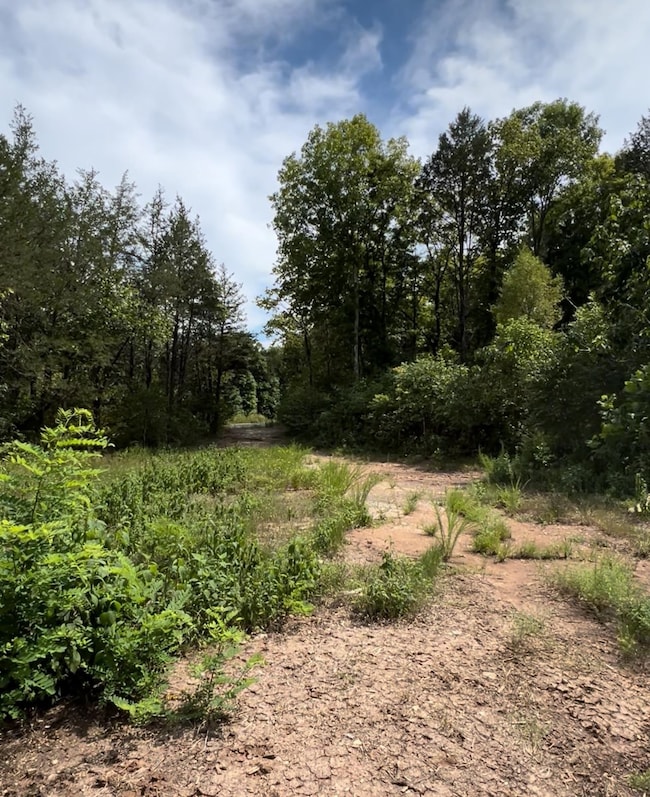 0 Doll Conway Rd unit lot 8, Clifton, TN 38425 - photo 2