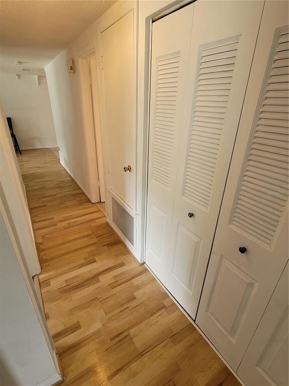 3719 Meadowbreeze Dr, Tampa, FL 33619 - photo 5