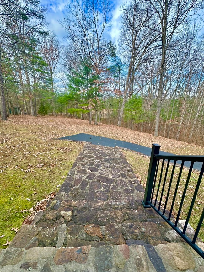 3114 Longdale Furnace Rd, Clifton Forge, VA 24422 - photo 7