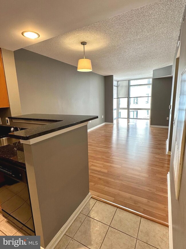 The Crescent unit 311, Silver Spring, MD 20910 - photo 4