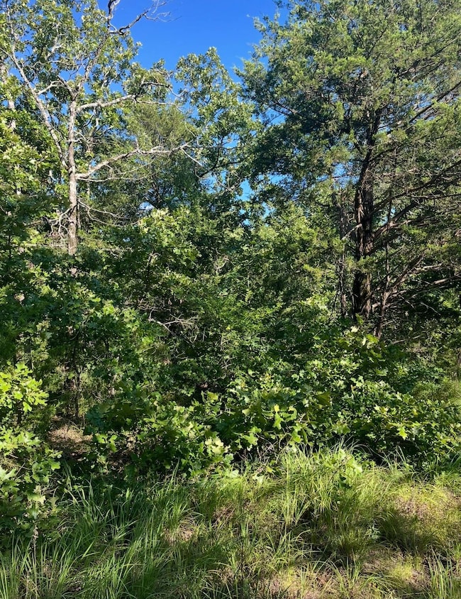 Tract 9B SE 1083 Road Ave, Red Oak, OK 74563 - photo 2