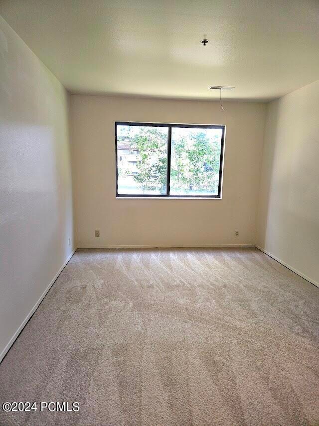 new carpet2.20240804_110100
