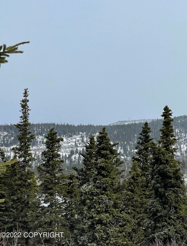 Rabbit Creek Lot. 2