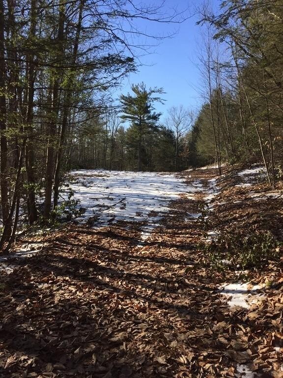 0 Eden Trail Branch Rd unit 72278280, Bernardston, MA 01337 - photo 4