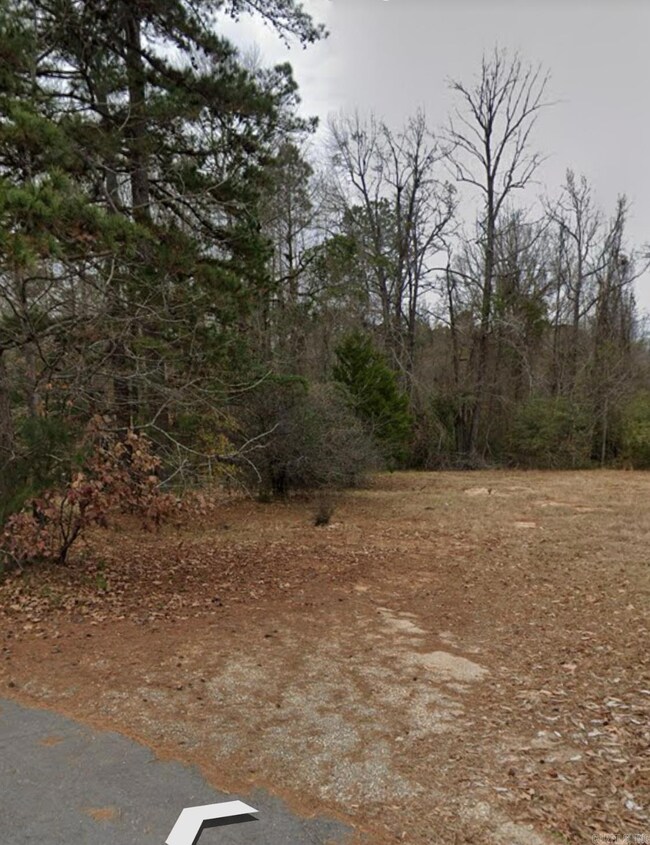 1400 Skyline Dr, Sheridan, AR 72150 - photo 2