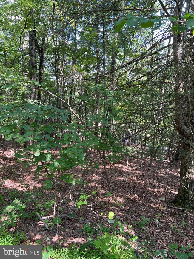 0 Crabapple Rd unit VASH2012222, Basye, VA 22810 - photo 2