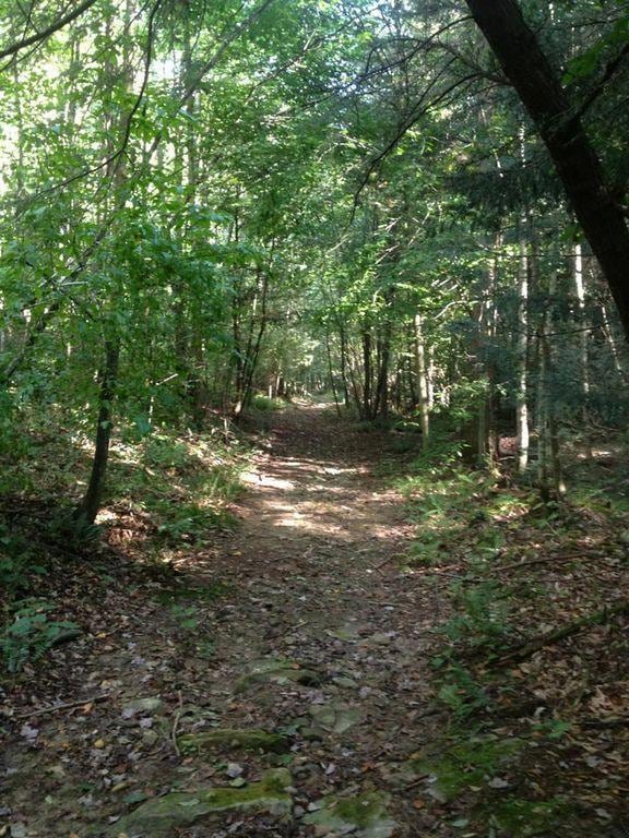 210 Red Oak Rd, Fayetteville, WV 25840 - photo 4