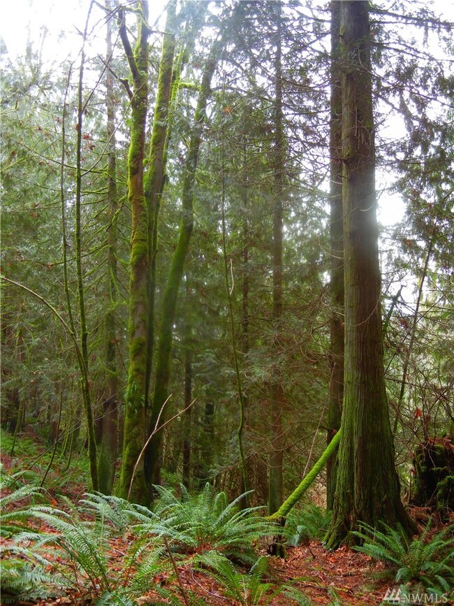 12409 Mountain Loop Hwy, Granite Falls, WA 98252 - photo 6