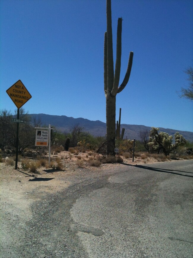 Lg Saguaro near NW corner of Parcel A