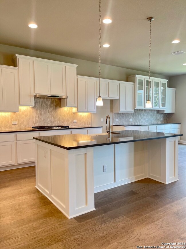 23222 Curvado, San Antonio, TX 78261 - photo 4
